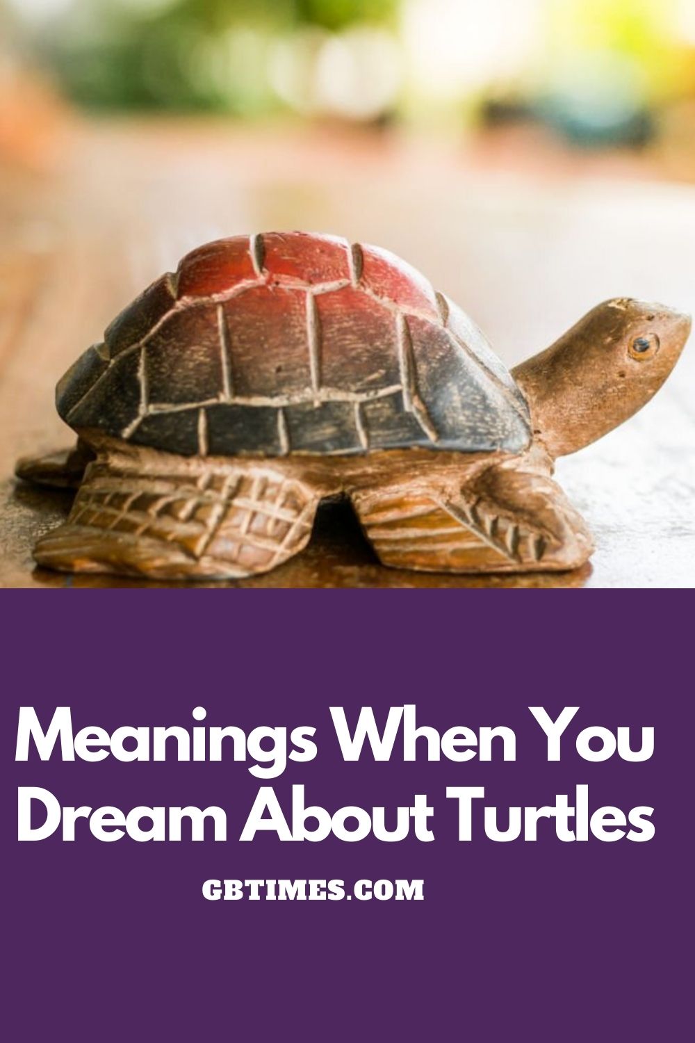 Meaning & Interpretations When You Dream of "Turtles"