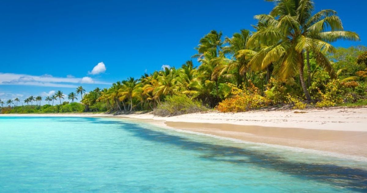 10 Meanings When You Dream About The Beach