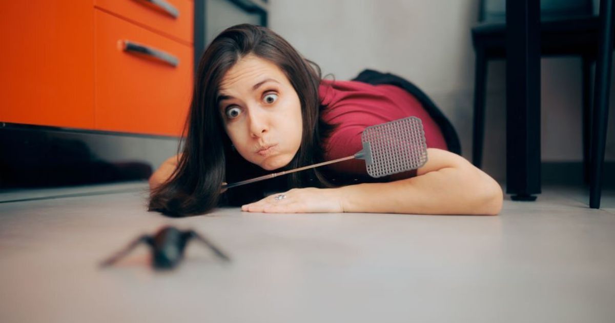 Meanings When You Dream About Bugs