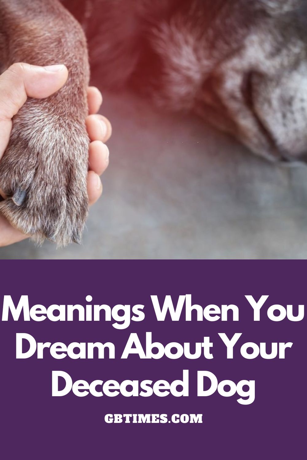 Spiritual Meanings When You Dream Of Deceased Dog
