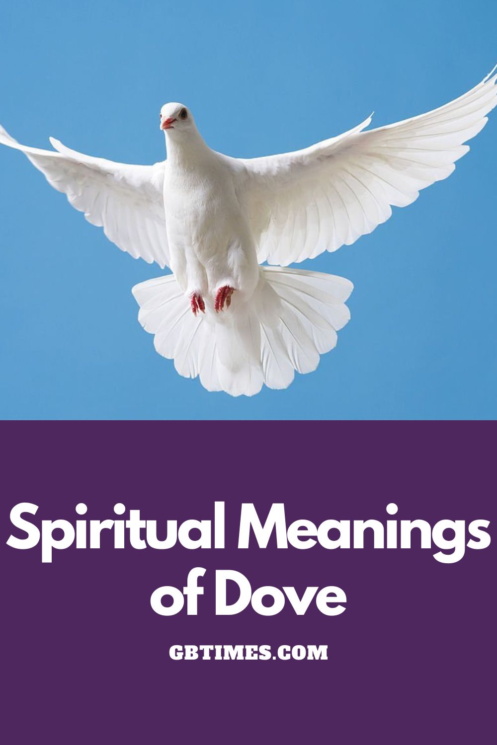 The Spiritual Meaning And Symbolism Of A Dove