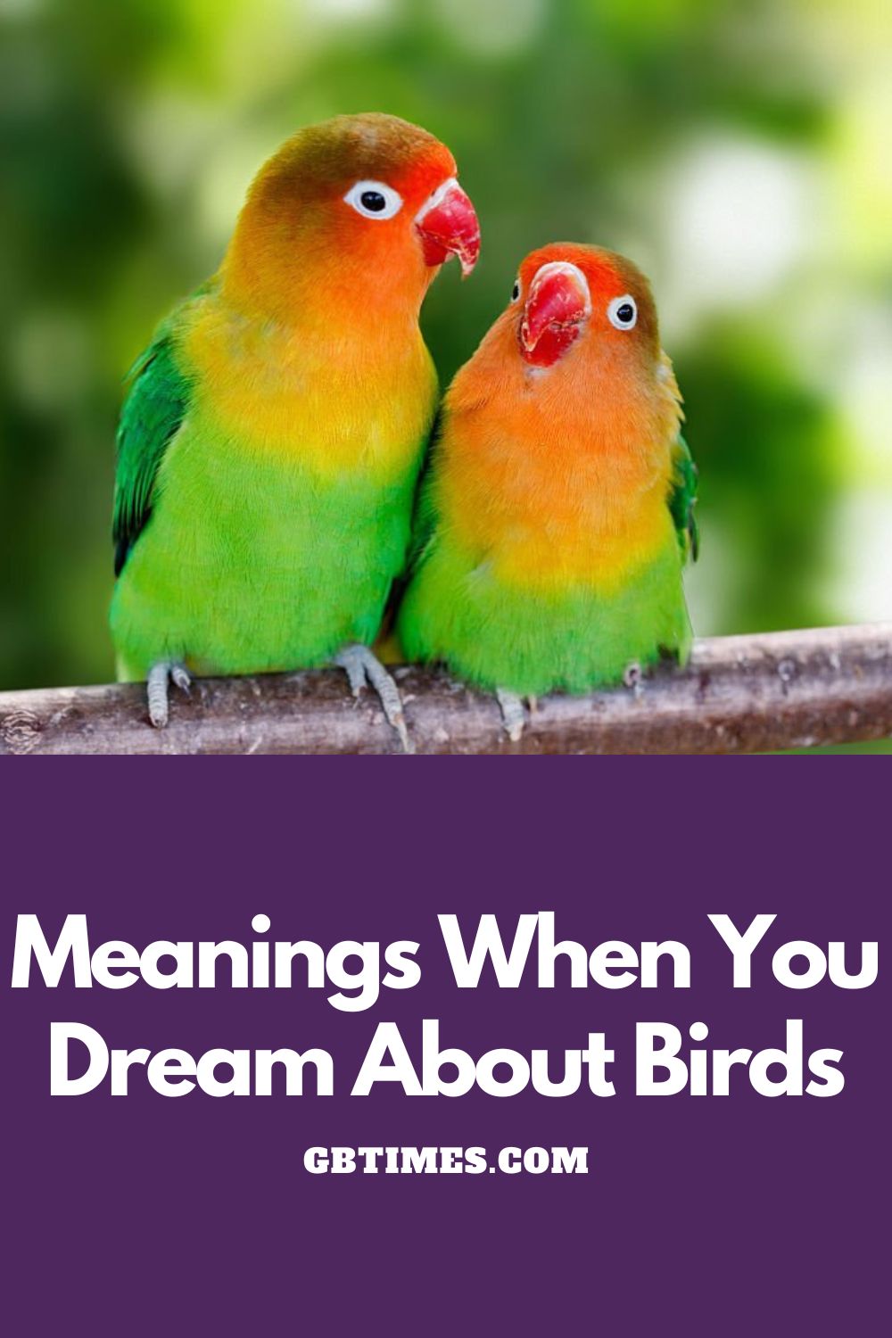 What It Really Means When You Dream About Birds Read More: https://www.thelist.com/273295/what-it-really-means-when-you-dream-about-birds/