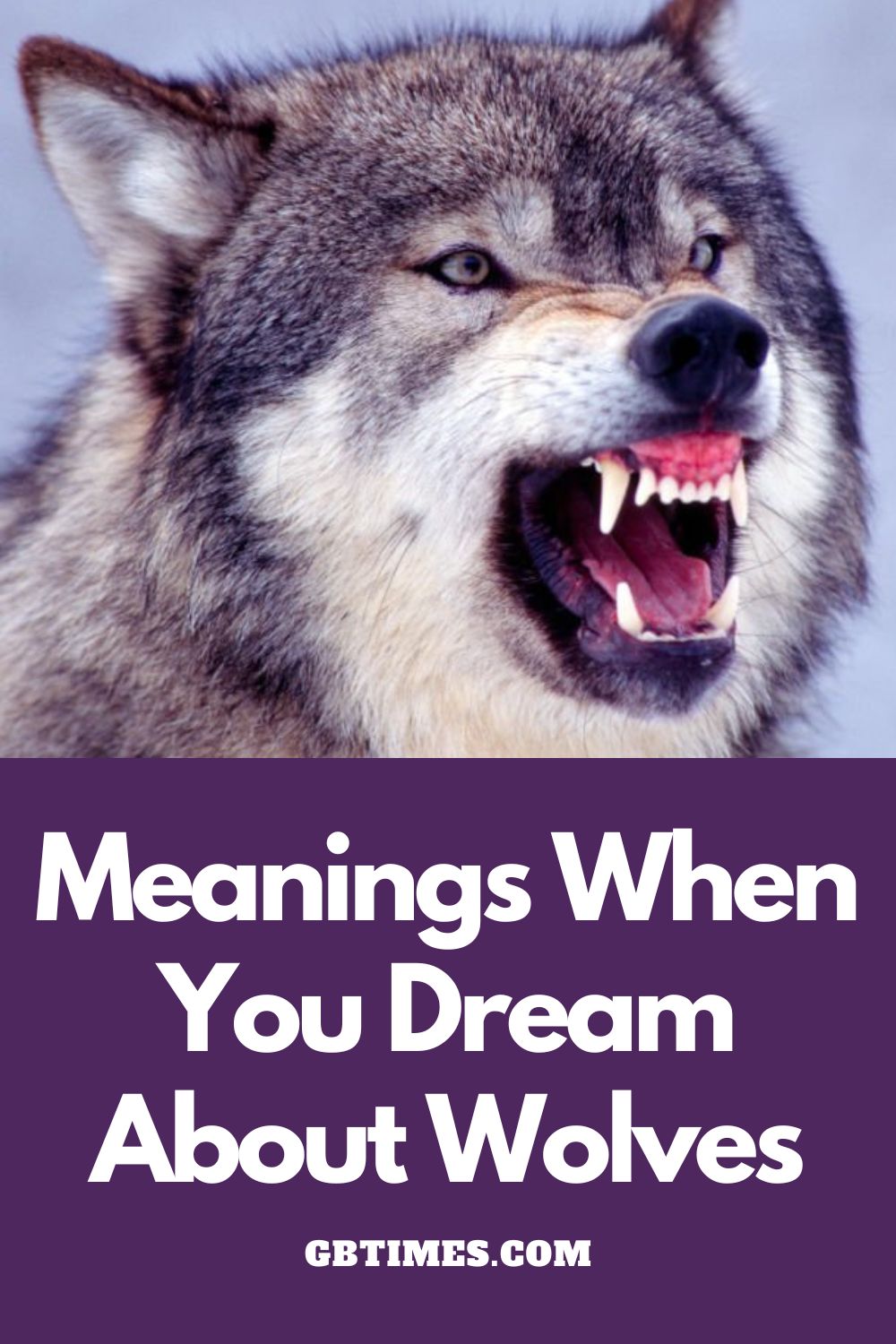 What Does it Mean When You Dream about Wolves?