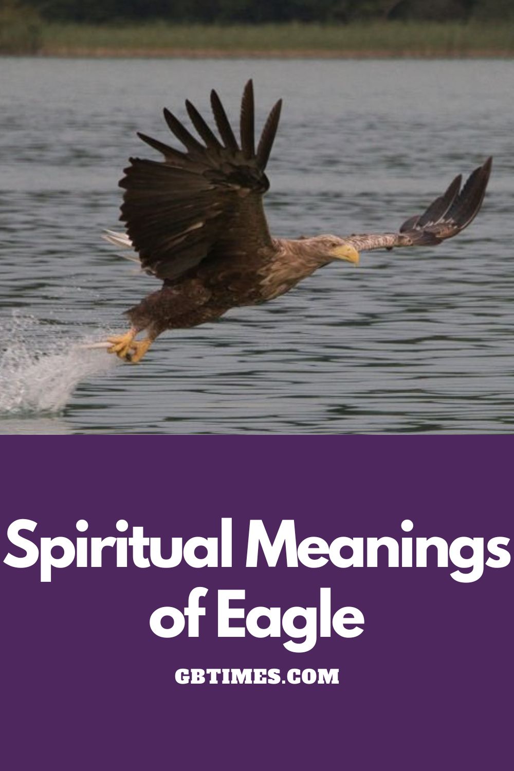 The Spiritual Meaning Of Seeing An Eagle