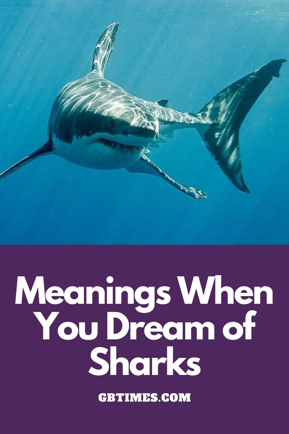 Shark Dreams: Meaning and Interpretation