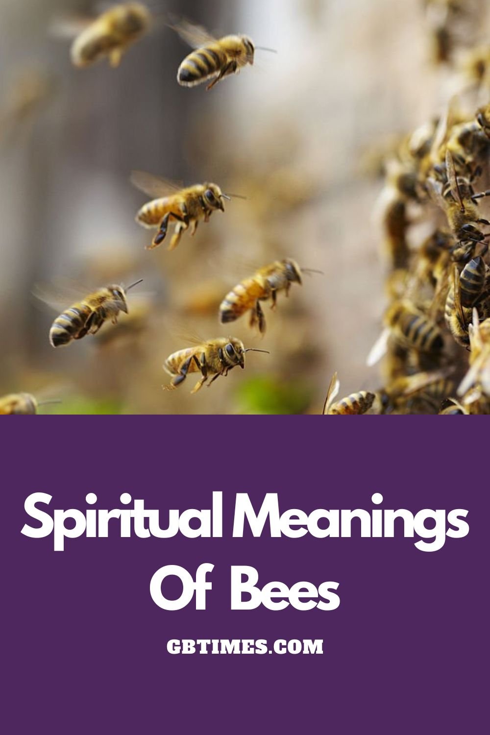 The Spiritual Meaning of Bees and How to Harness Their Magic