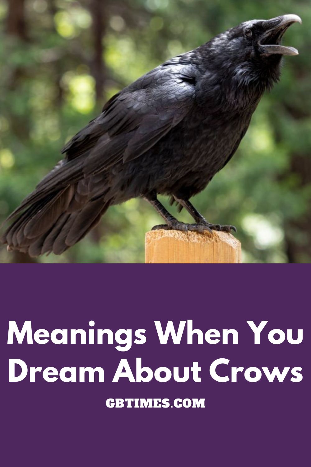 Crows In Dreams: Spiritual Messages, Symbolism & Mysteries