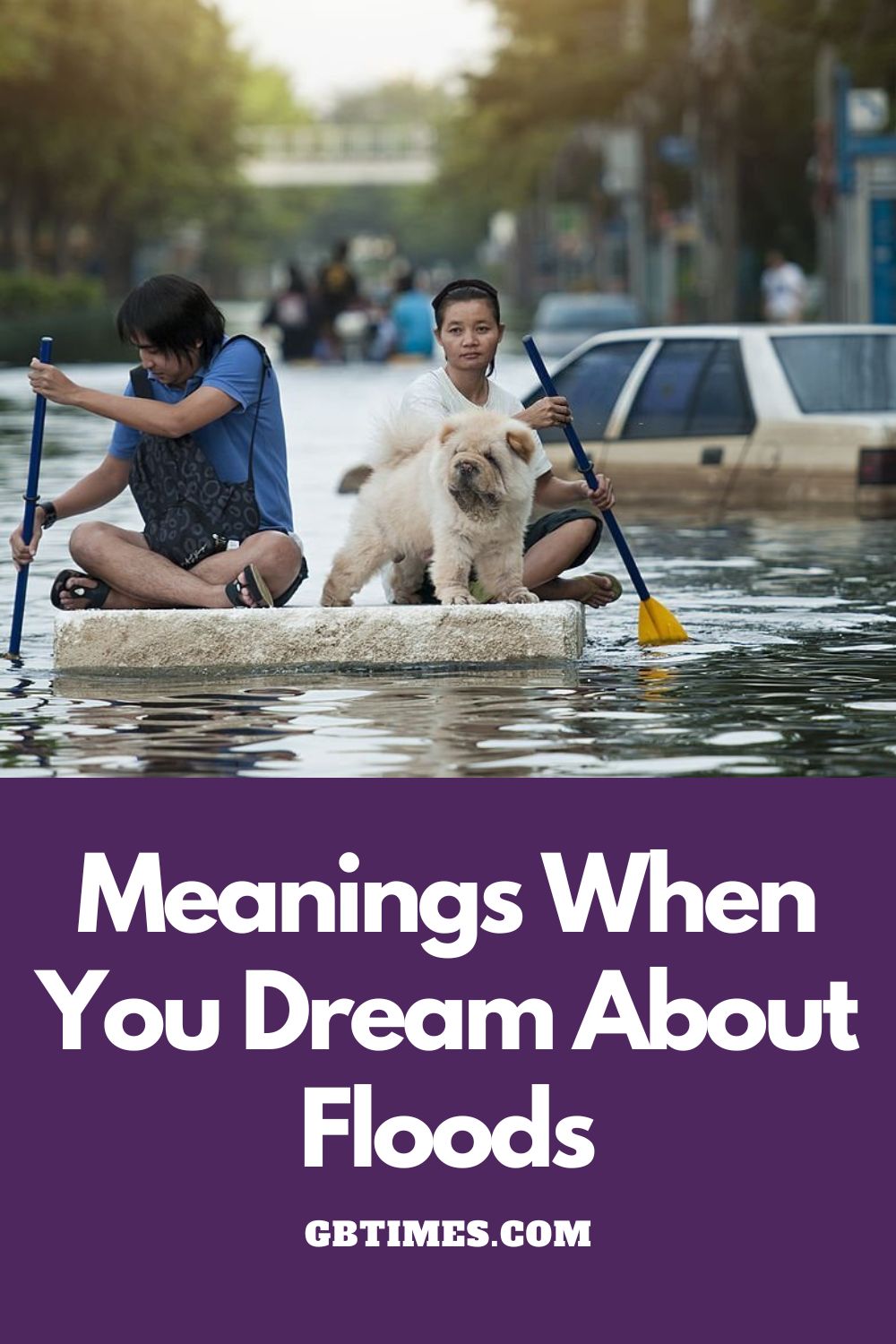 Flood Dream Meaning and Interpretation