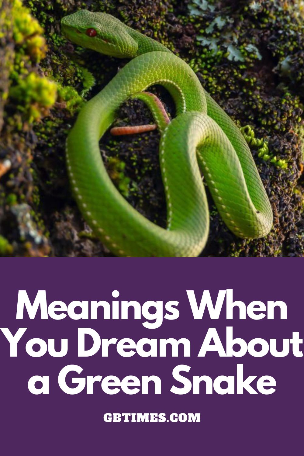 Meanings When You Dream About Green Snake