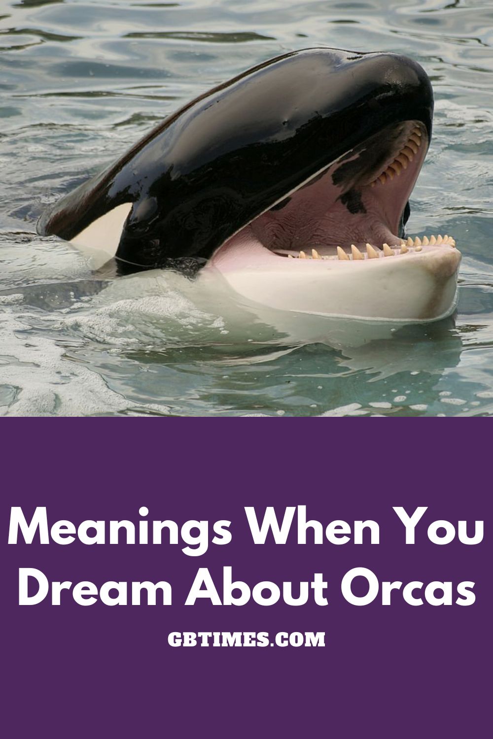 WHALES DREAM Meaning & Symbolism