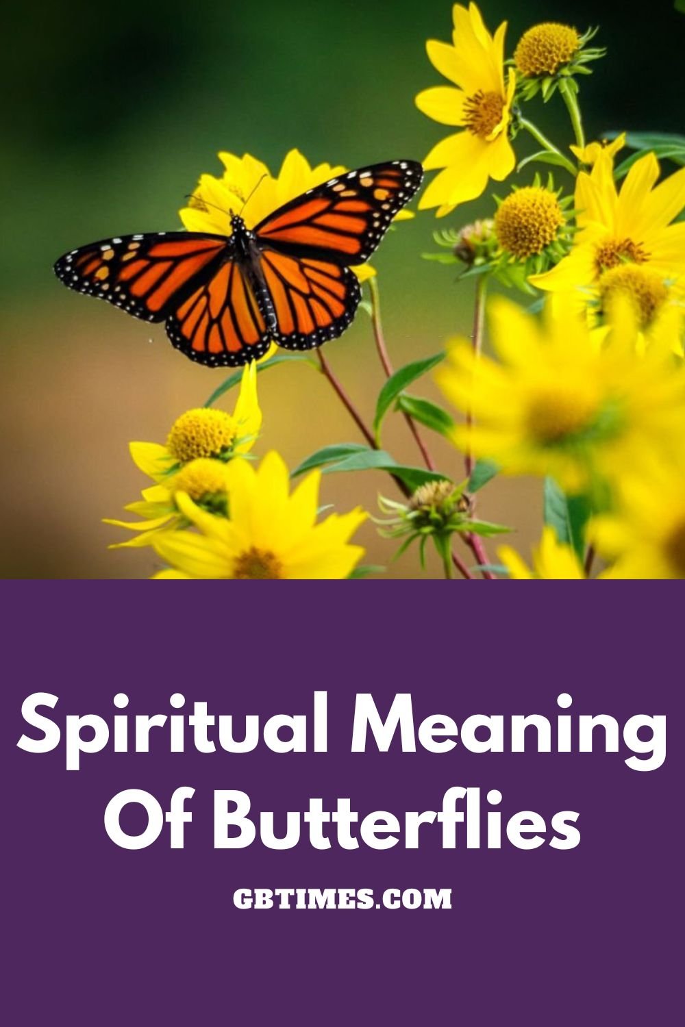 Butterfly Symbolism & Spiritual Meaning