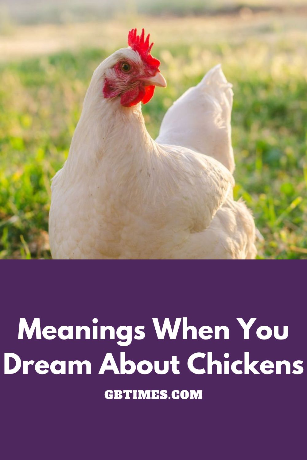 What Does it Mean to Dream About Chicken?