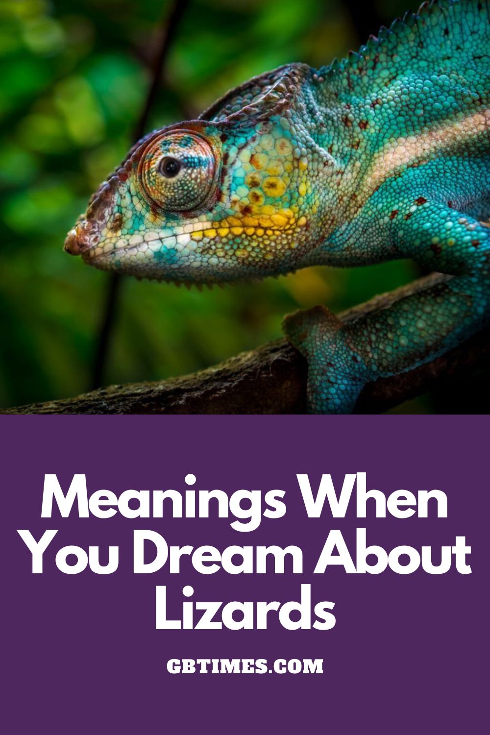 What does it mean when you dream about a lizard?