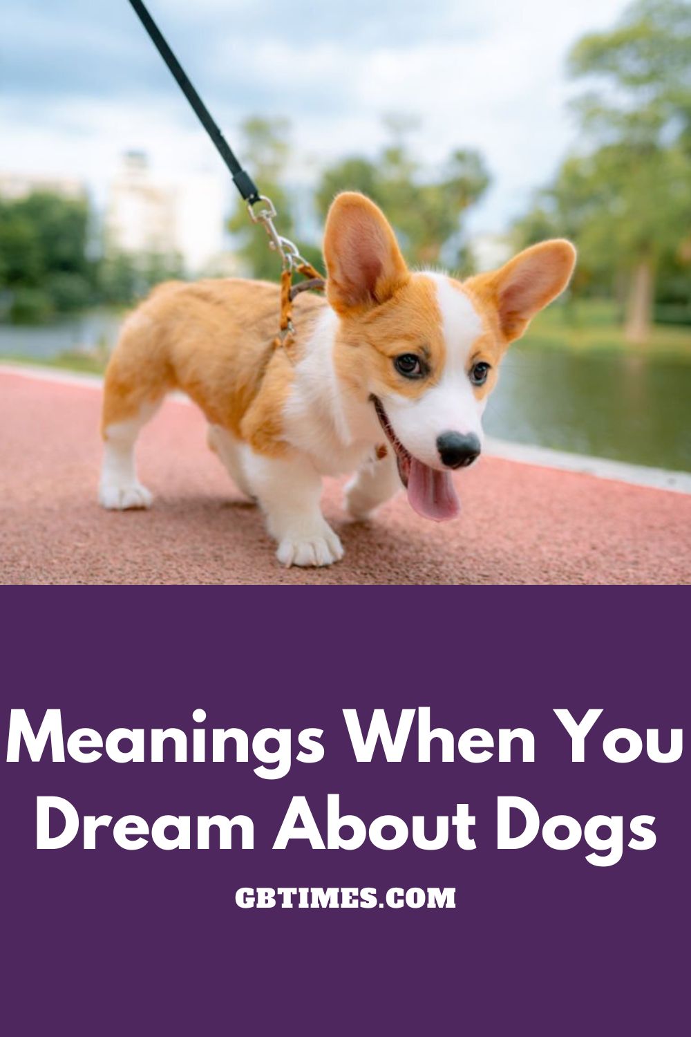 Meanings When You Dream About Dogs
