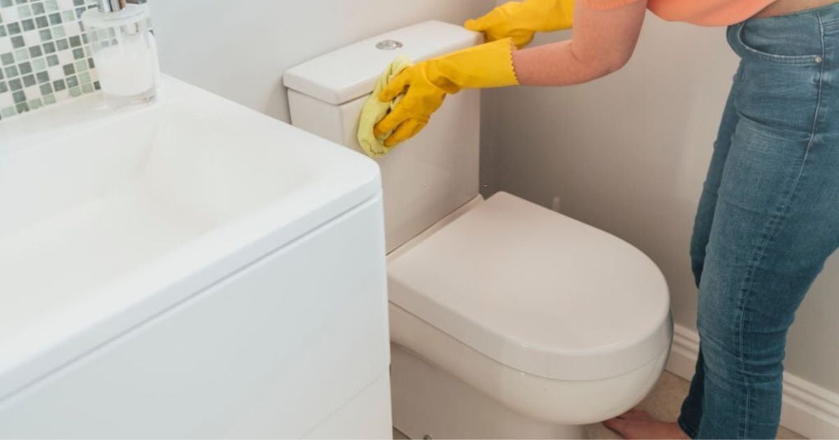 The Meaning and Interpretation of Dreams About Toilets