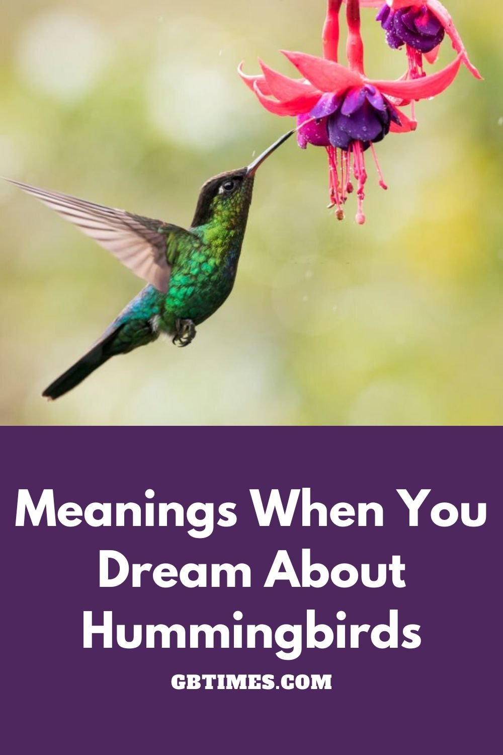 The Spiritual Meaning of Hummingbirds