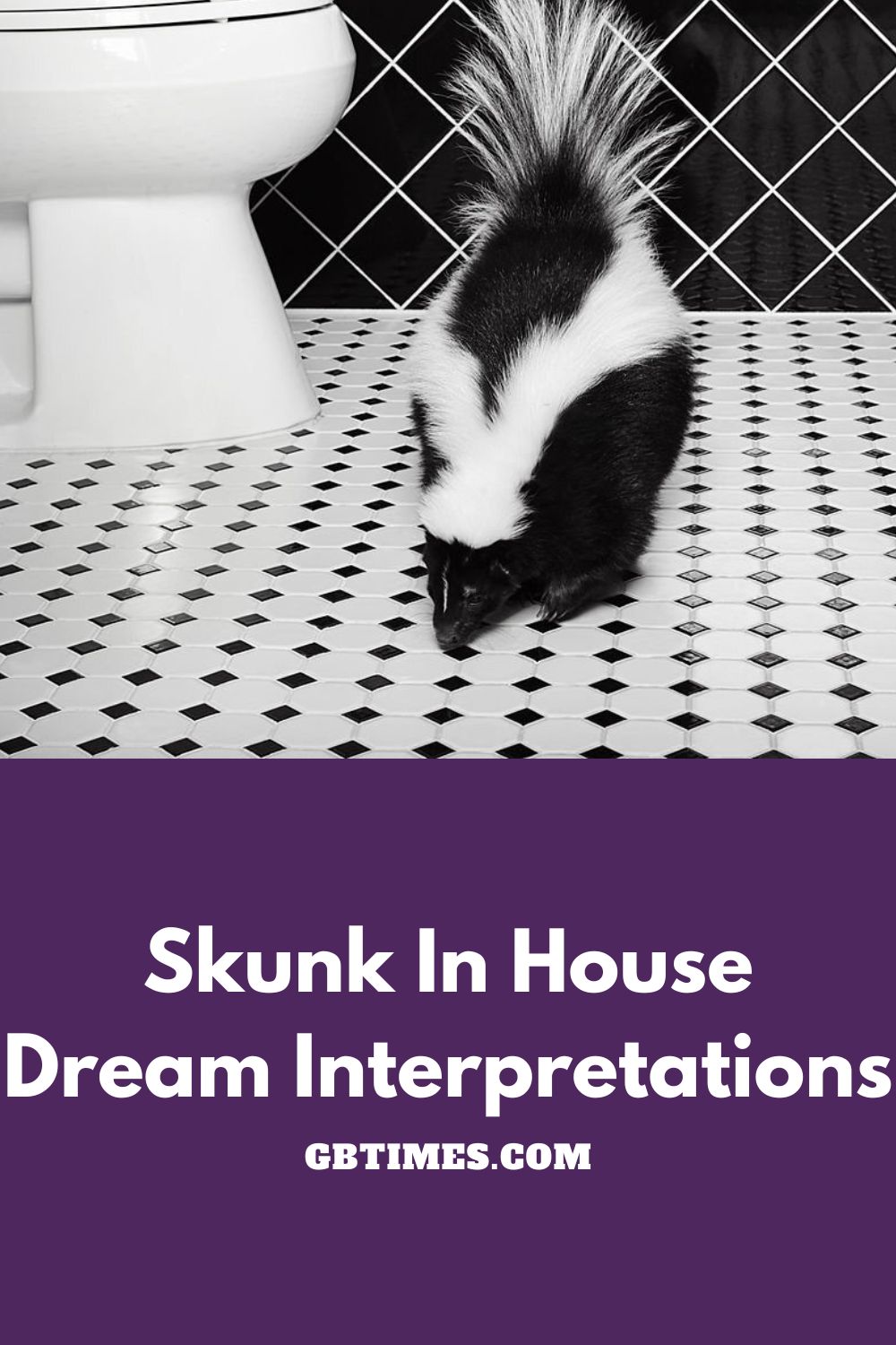Dream About a Skunk: - Inside My Dream
